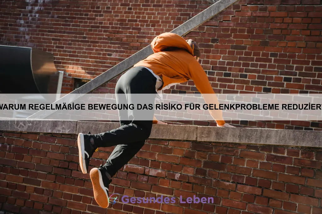 Warum regelmäßige Bewegung das Risiko für Gelenkprobleme reduziert