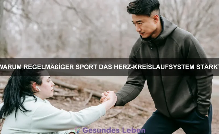 Warum regelmäßiger Sport das Herz-Kreislaufsystem stärkt