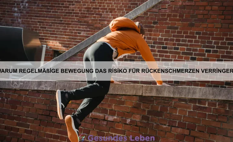 Warum regelmäßige Bewegung das Risiko für Rückenschmerzen verringert