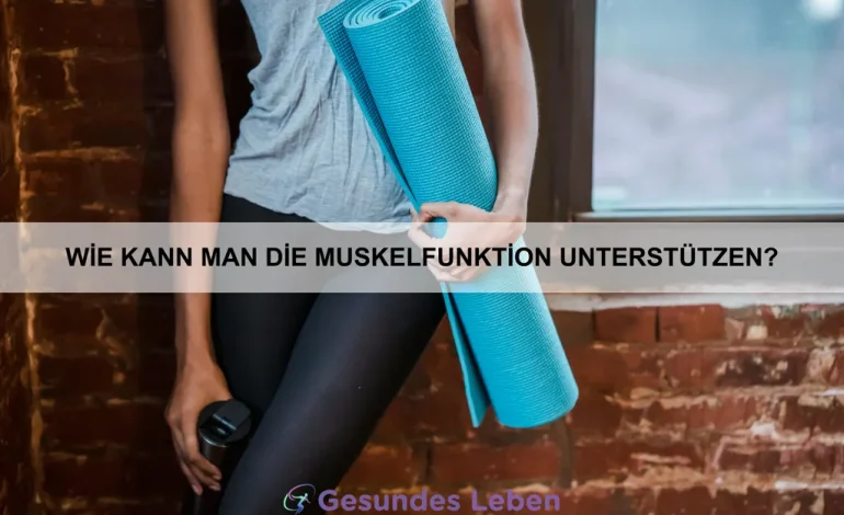 Wie kann man die Muskelfunktion unterstützen?