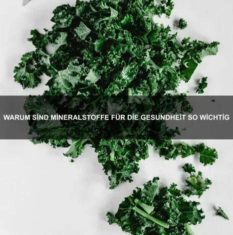 Warum sind Mineralstoffe für die Gesundheit so wichtig