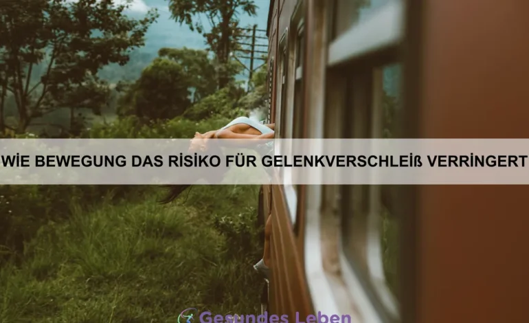 Wie Bewegung das Risiko für Gelenkverschleiß verringert