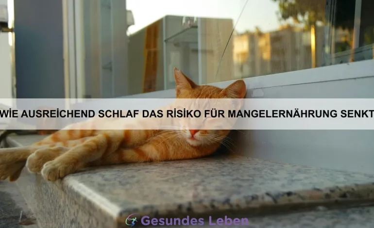 Wie ausreichend Schlaf das Risiko für Mangelernährung senkt